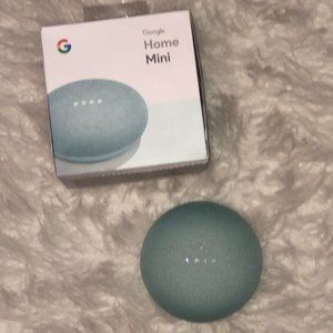 Aqua Google Home Mini